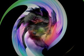 Twirl and some others