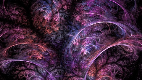 Angora