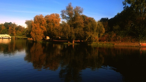 Autumn