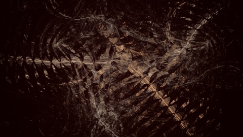 Broken spines