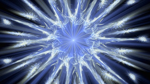 Cornflower