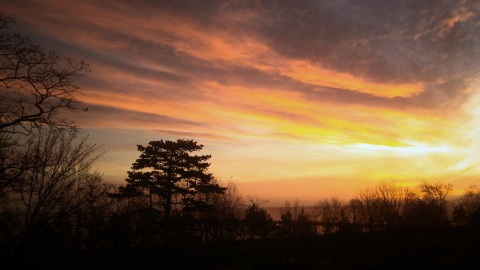 Dawn