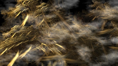 Field of Gold
