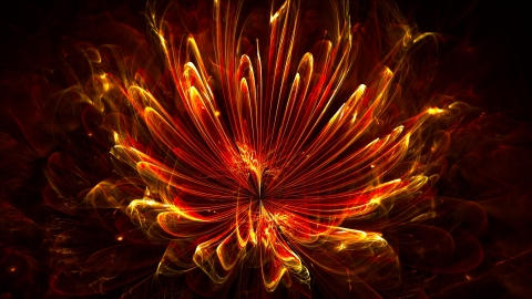 Fiery flower