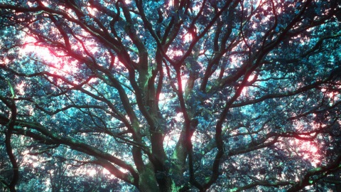 Mystic Tree