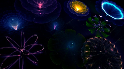 Neon flowers