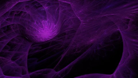Spider's web
