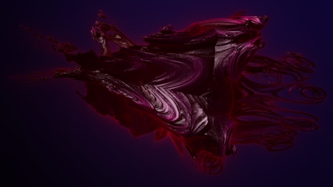 Squid