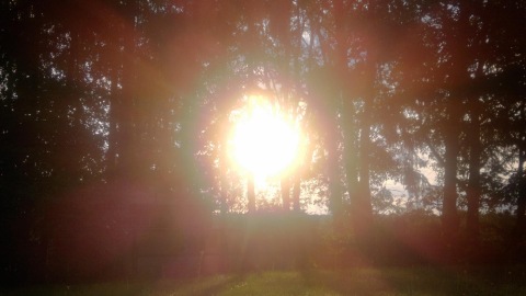 Sunshine