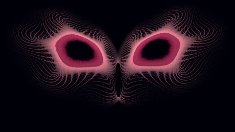 The mask