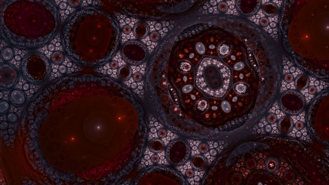 The Red Pill