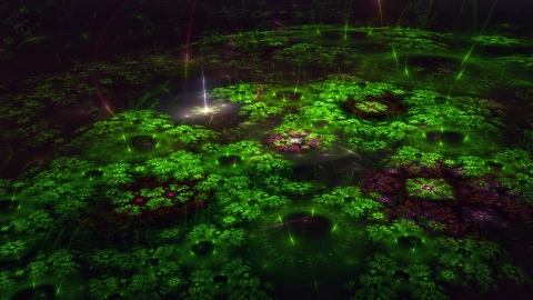 Tiny shiny garden