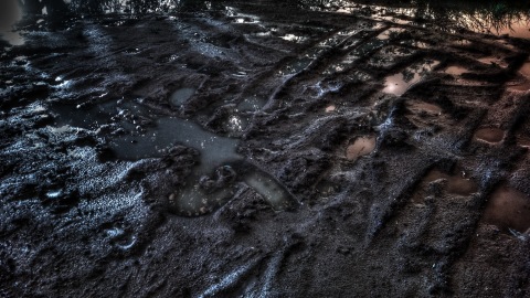 Traces